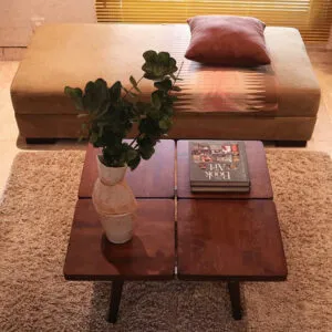 Mushroom Square Coffee Table